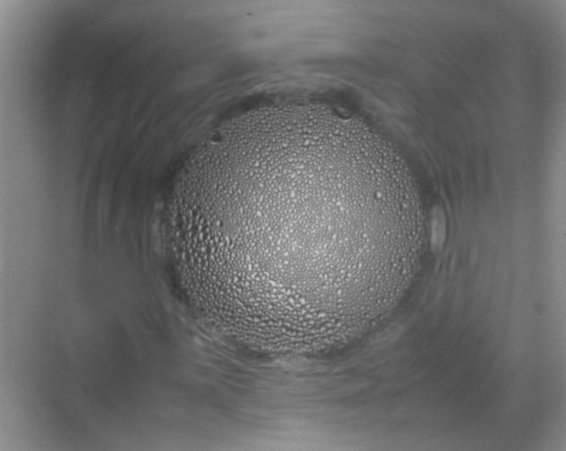 X0000070231059200606091711