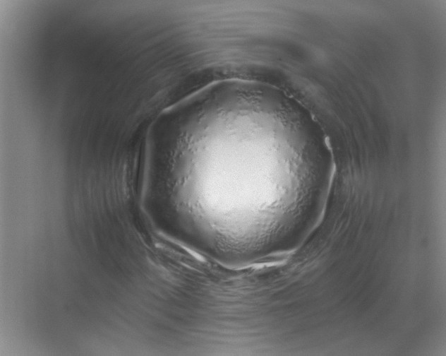 X0000070231060200606091711