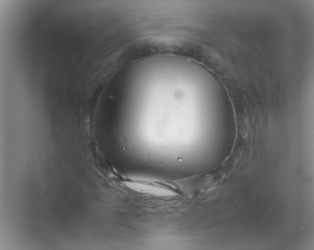 X0000070231061200606091711