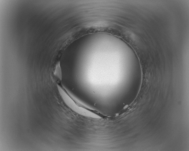 X0000070231062200606091711