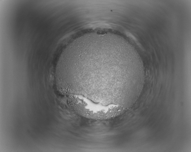 X0000070231063200606091711