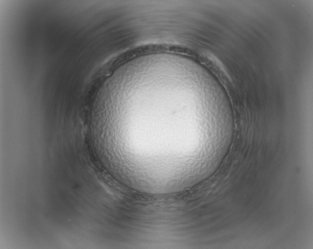 X0000070231064200606091711