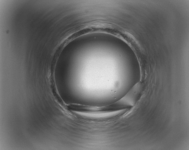 X0000070231065200606091711