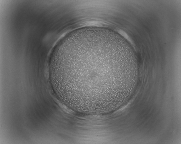 X0000070231067200606091711