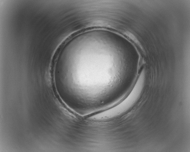 X0000070231068200606091711