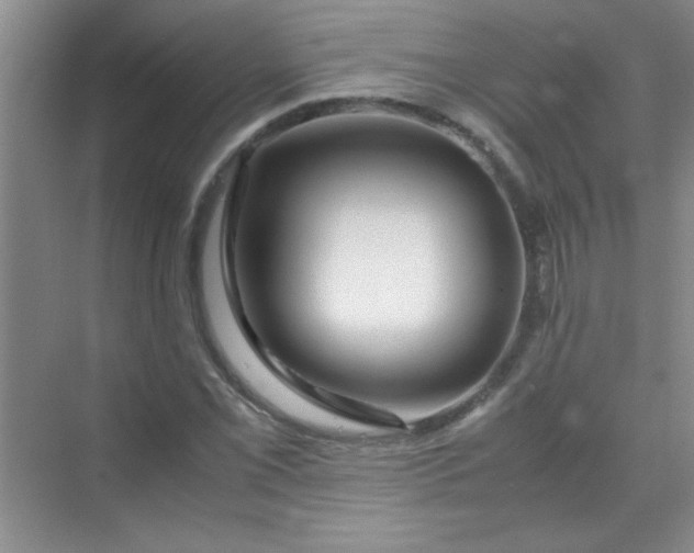 X0000070231069200606091711