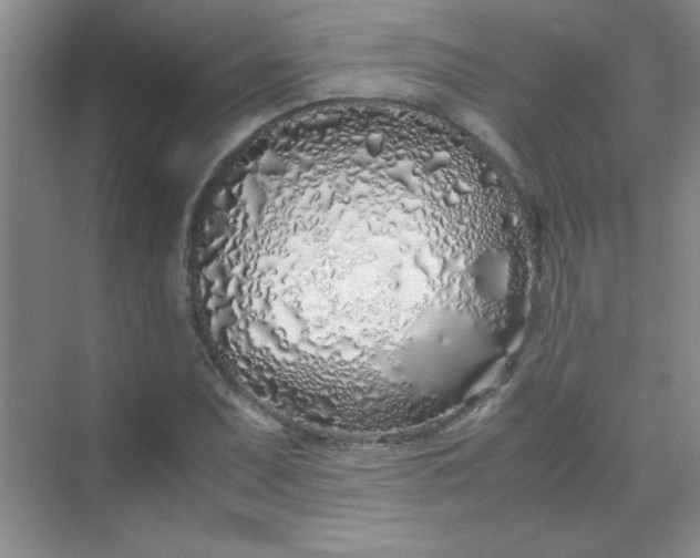 X0000070231071200606091711