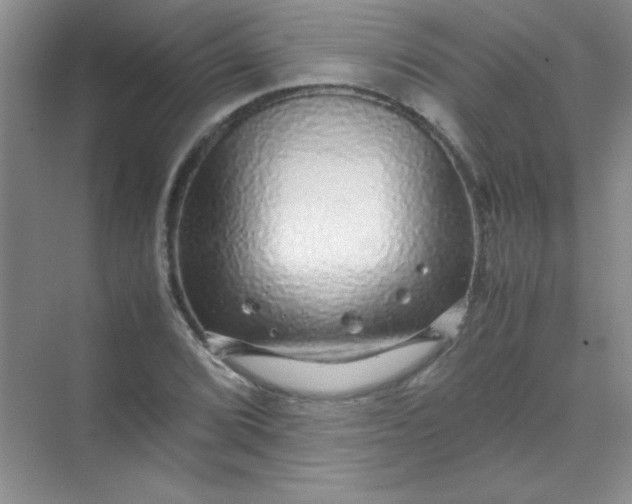 X0000070231072200606091711