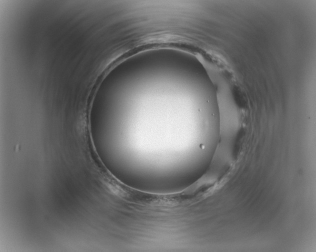 X0000070231073200606091711