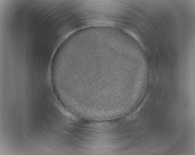 X0000070231074200606091711