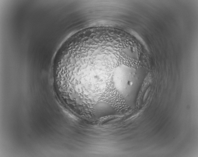 X0000070231075200606091711