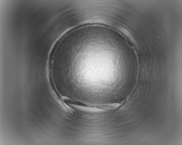 X0000070231076200606091711