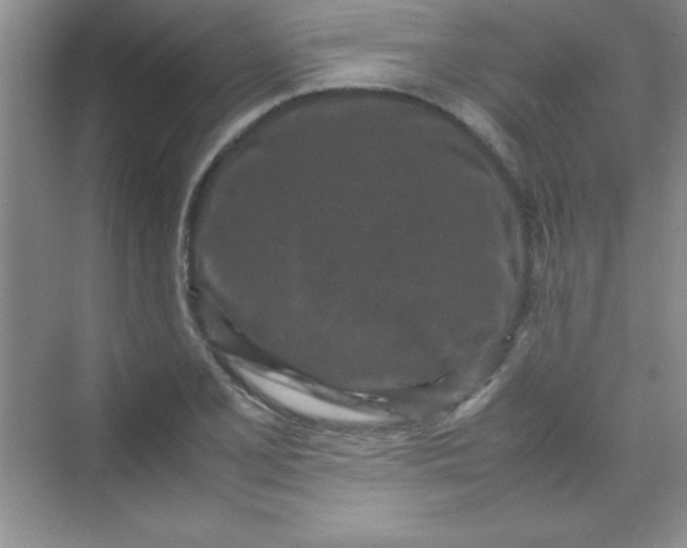 X0000070231077200606091711