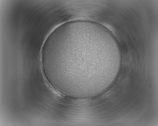 X0000070231078200606091711