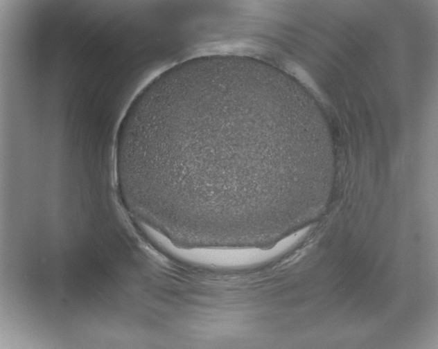 X0000070231079200606091711