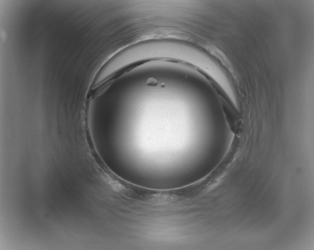 X0000070231081200606091711