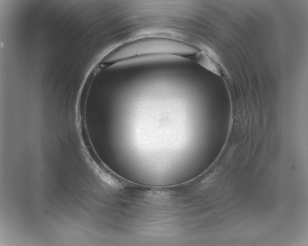 X0000070231082200606091711