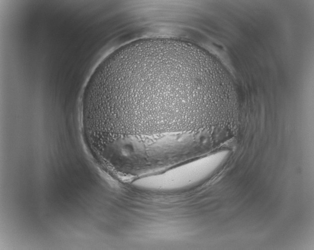 X0000070231083200606091711