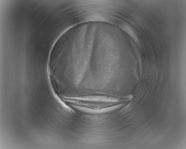 X0000070231084200606091711