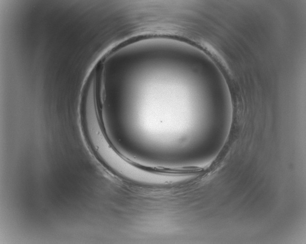 X0000070231085200606091711