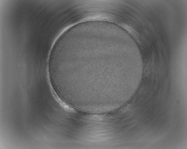 X0000070231086200606091711