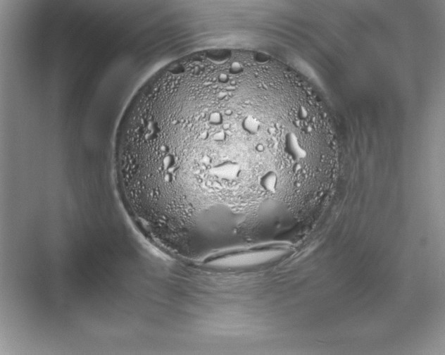 X0000070231087200606091711