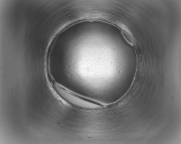 X0000070231088200606091711