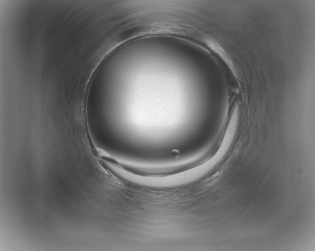 X0000070231089200606091711