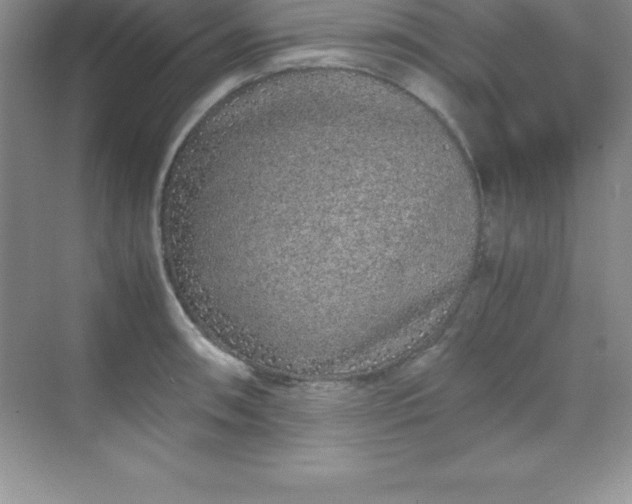 X0000070231090200606091711