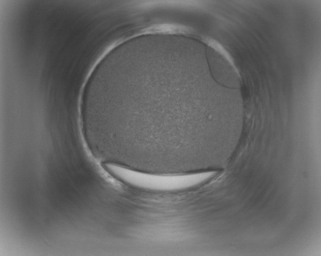 X0000070231091200606091711