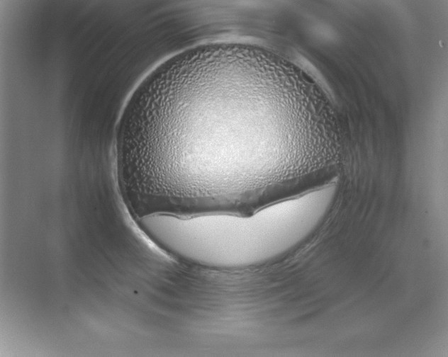 X0000070231092200606091711