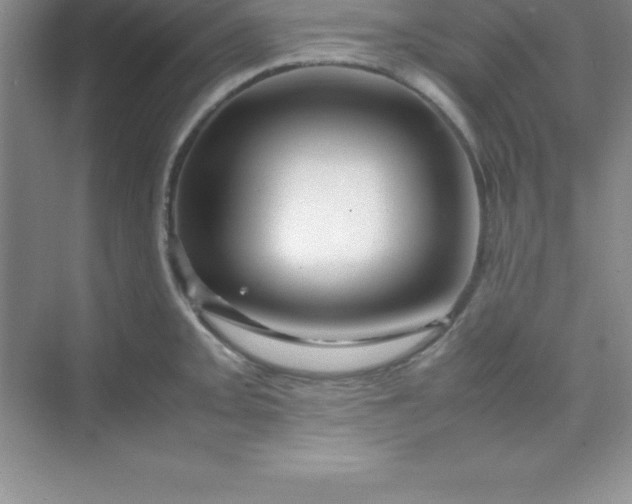 X0000070231093200606091711