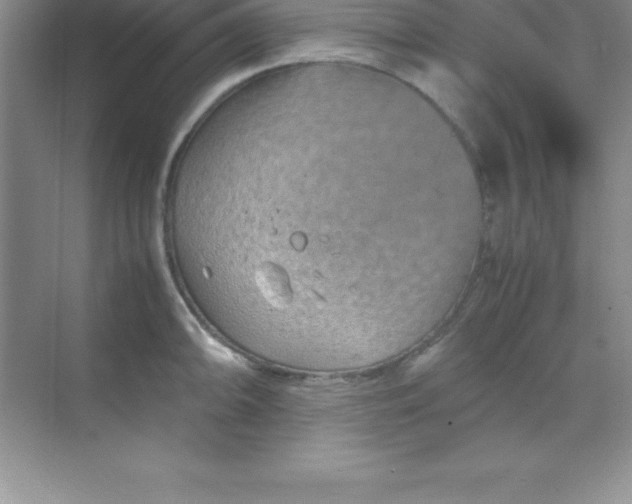 X0000070231094200606091710