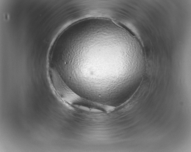 X0000070231096200606091710