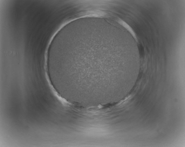 X0000070231099200606091710