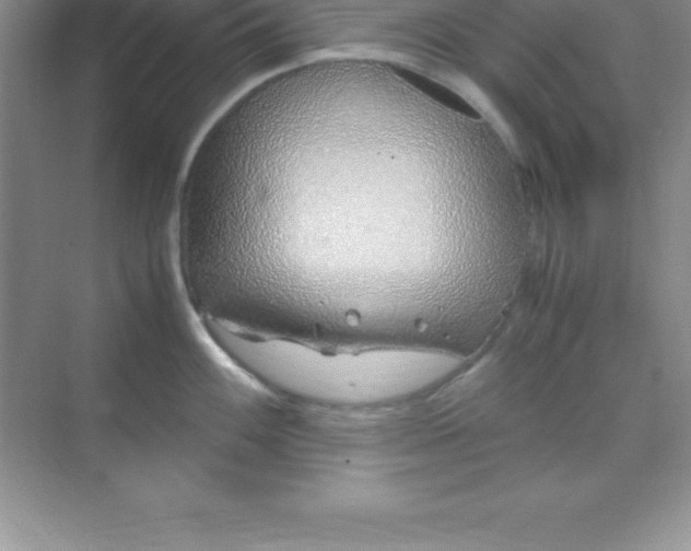 X0000070231100200606091710