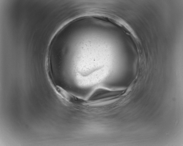 X0000070231101200606091710