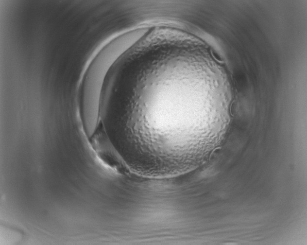 X0000070231102200606091710