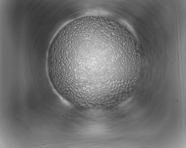 X0000070231103200606091710