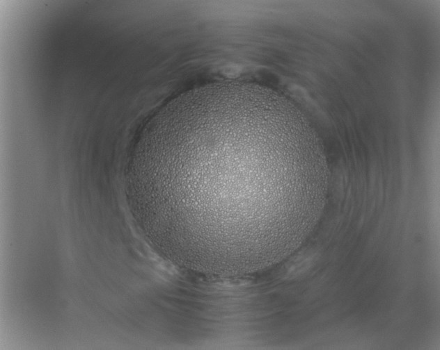 X0000070231105200606091710