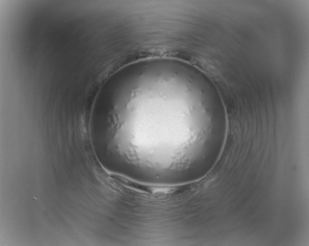 X0000070231106200606091710