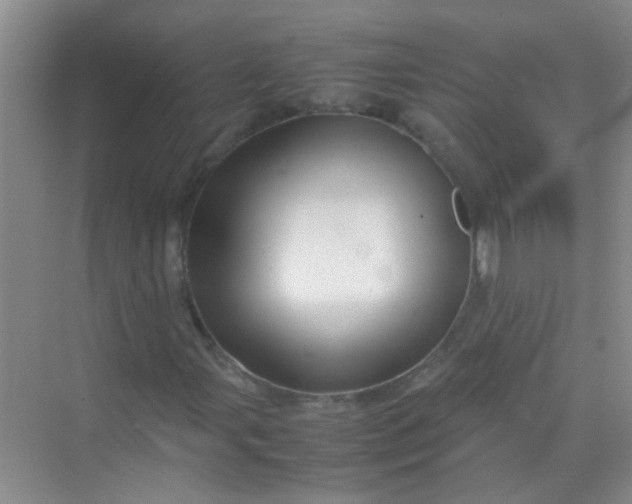 X0000070231107200606091710