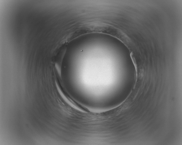 X0000070231108200606091710