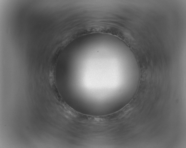 X0000070231109200606091710