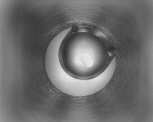 X0000070231110200606091710