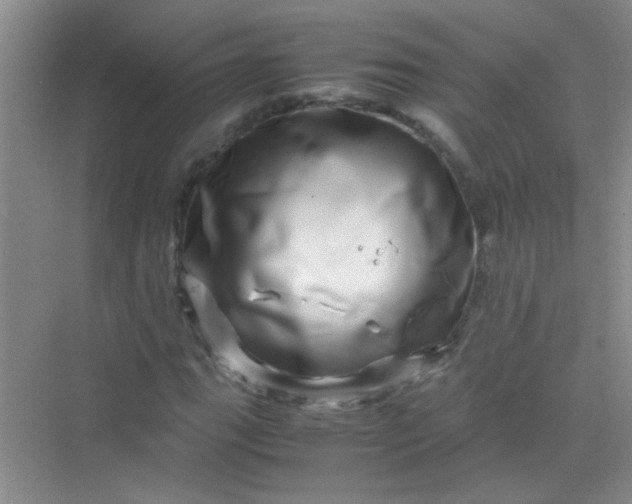 X0000070231111200606091710