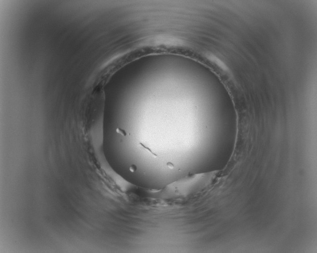 X0000070231112200606091710