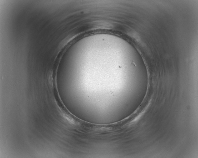 X0000070231113200606091710