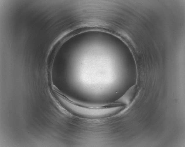 X0000070231114200606091710