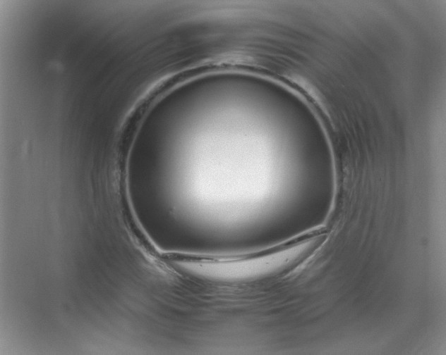 X0000070231115200606091710